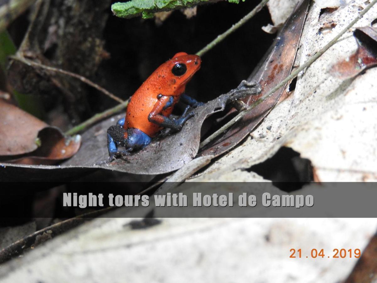 Hotel De Campo Cano Negro Εξωτερικό φωτογραφία