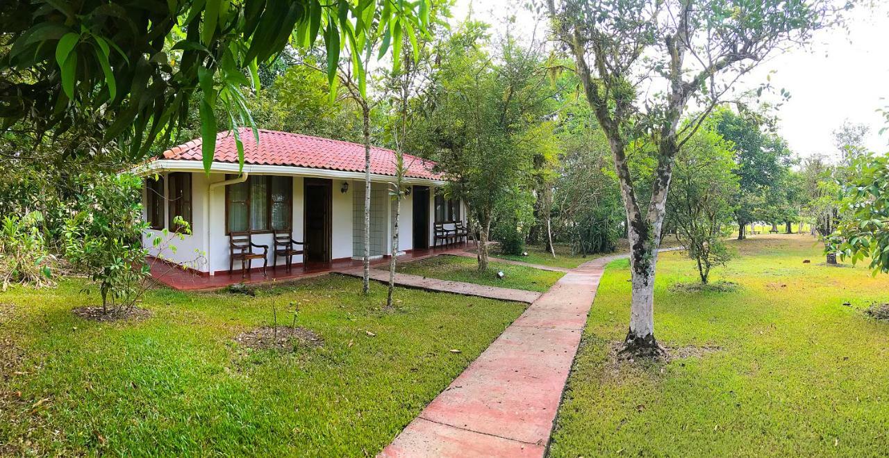 Hotel De Campo Cano Negro Εξωτερικό φωτογραφία